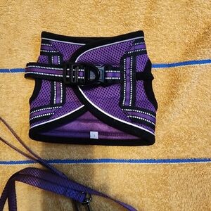 Rabbitgo Purple Cat Harness and Leash Set